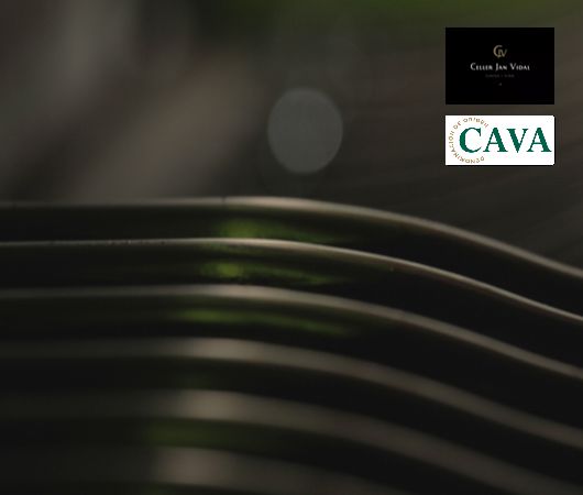 Celler Josep Ventosa, Cava DO