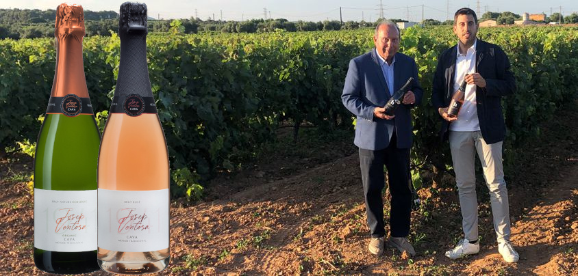 Celler Josep Ventosa, Cava DO