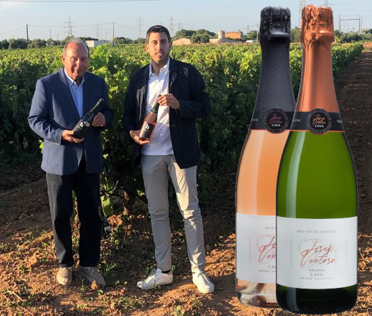 Celler Josep Ventosa, Cava DO