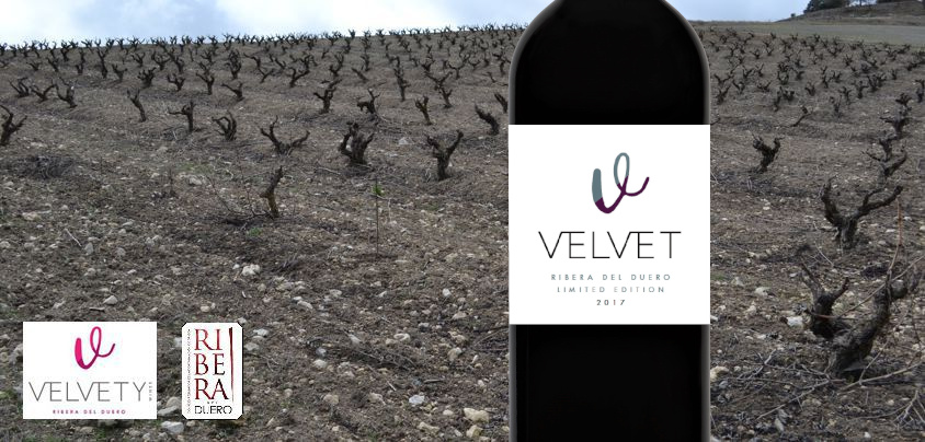 Dominio Lubiano/Velvety Wines, Ribera del Duero DO